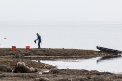 Bladderwrack Ledge, Moderate Fog