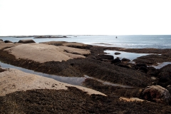 Eastern Island Tide Pool