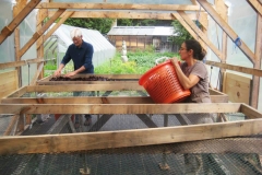 Spreading Dulse on Racks to Dry
