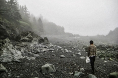 In Search of Midsummer Nori