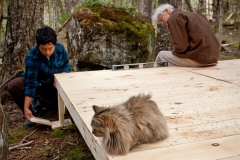 Paba and Larch, Zippy the Cat