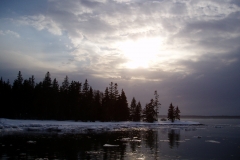 February Cove