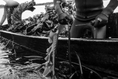 Hauling in a Ton of Kelp in Two Hours