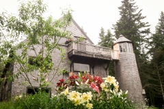 Our House, Lilies and a Peach Tree!